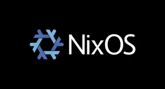 Using NixOS