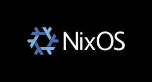Using NixOS